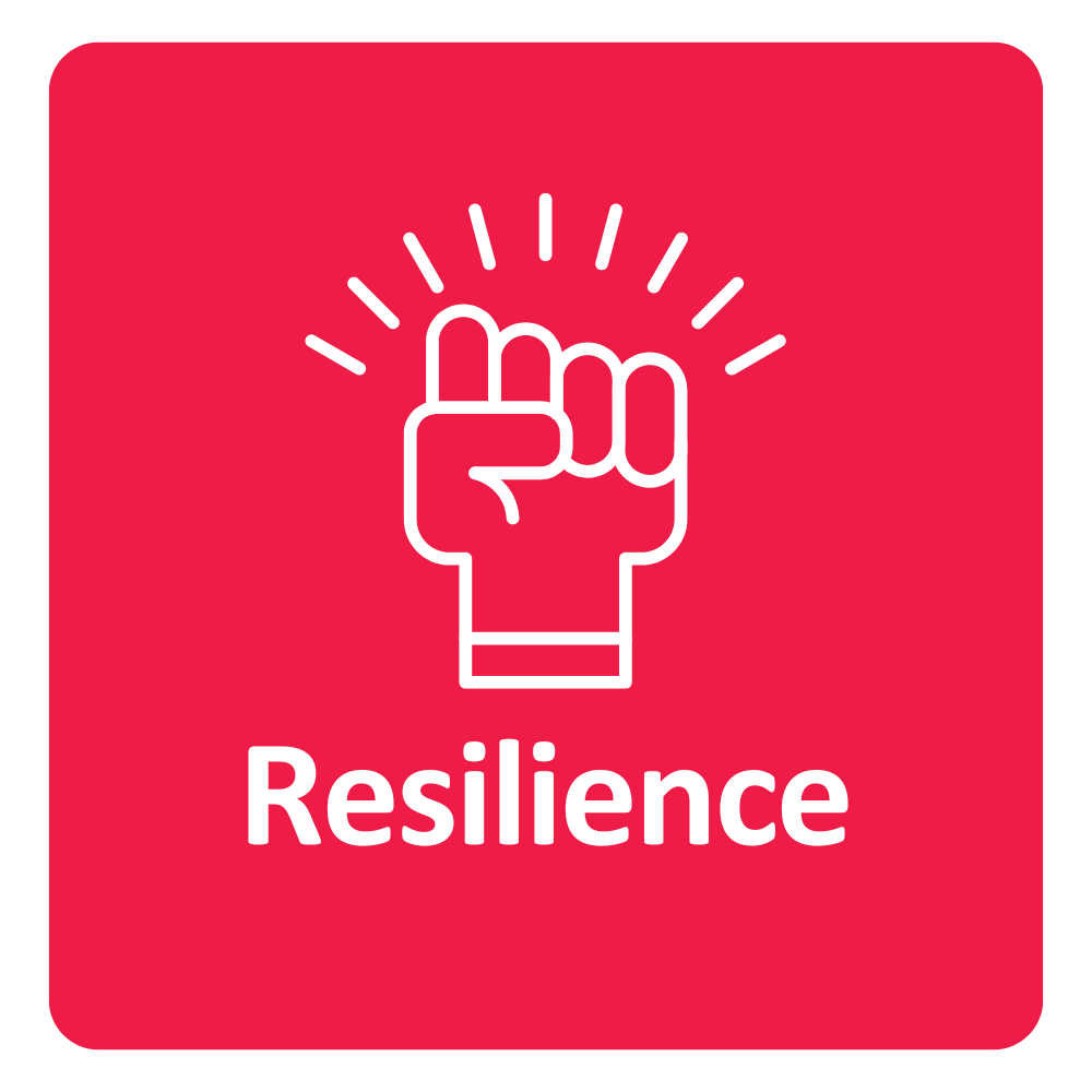 Resilience Icon