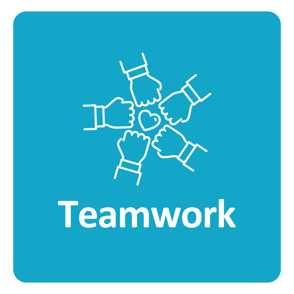 Teamwork Icon